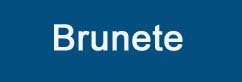 Asistencia técnica calderas Chaffoteaux Brunete